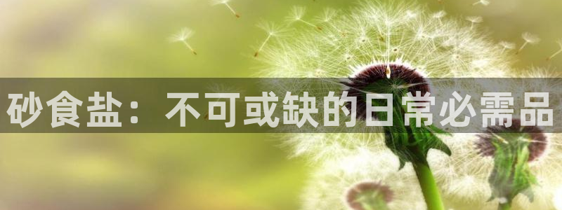 威九国际观看