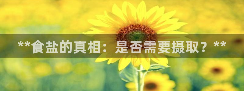 威九国际摩托电影HD