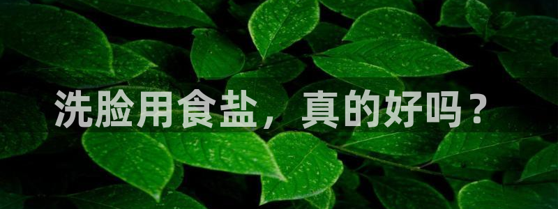 威九国际客服电话号码是多少