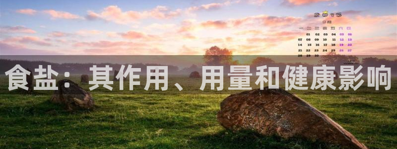 保定威九网络科技有限公司