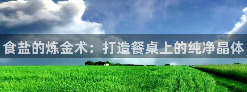 威九国际v96bet官网版