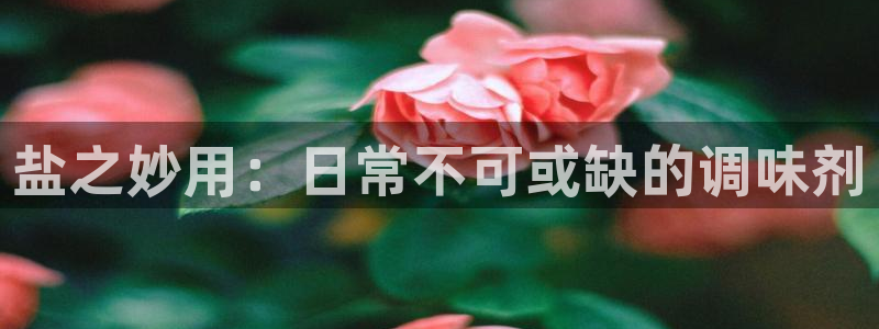 威九国际理论片最经典十首歌曲