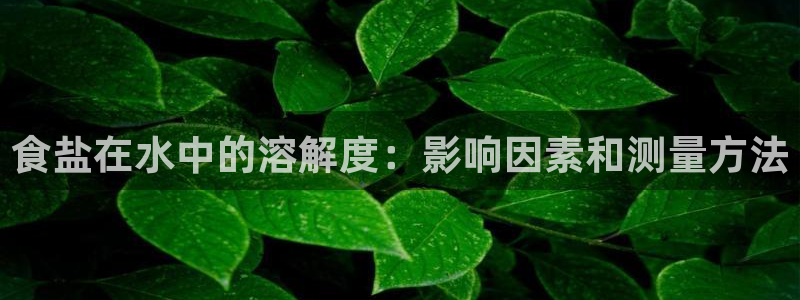 威九国际精忐