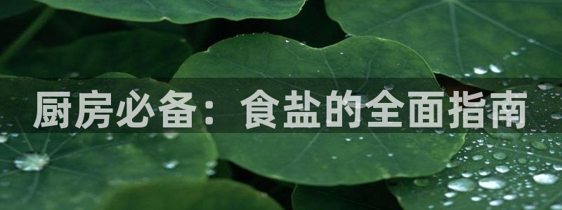 威九国际78mb 视频