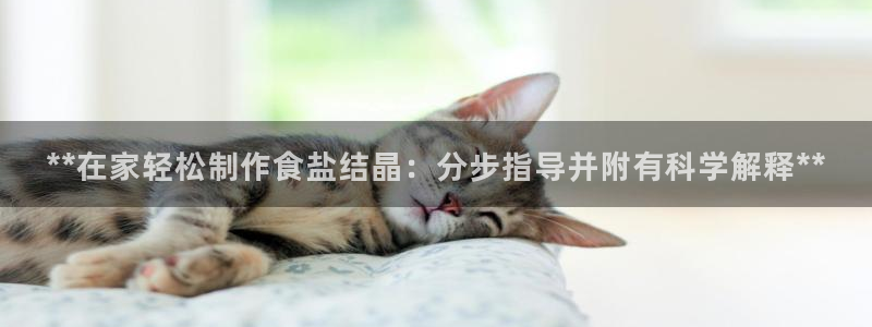 威九国际精选酒店电话