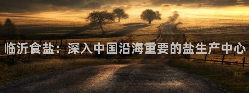 保定威九网络科技有限公司
