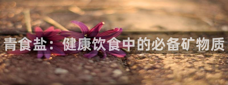 威九国际小说