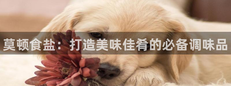 威九国际78mB官网版