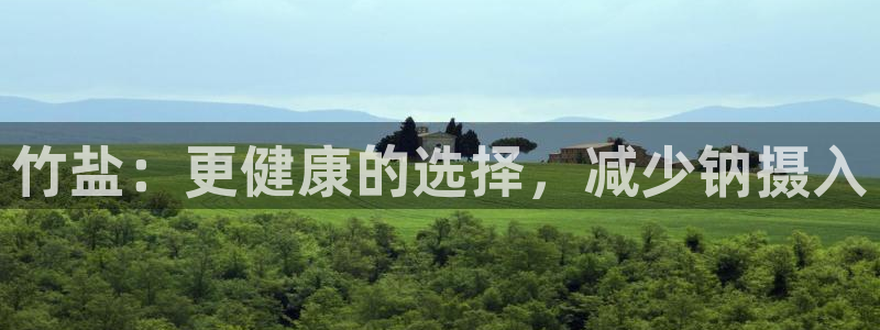 威九国际免费版