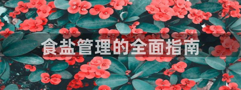 威九国际女艺人