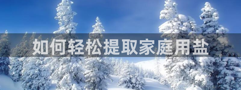 威九国际地址