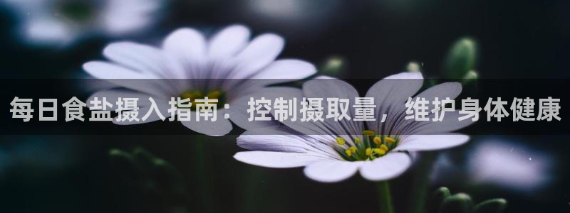 保定威九网络科技有限公司招聘