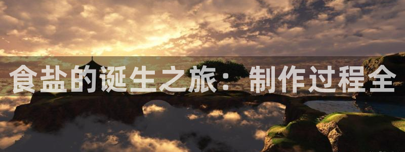 威九国际软件公司简介