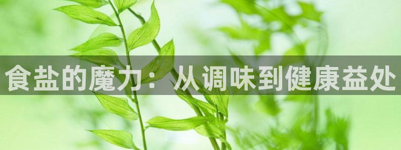 威九国际app哪个地方