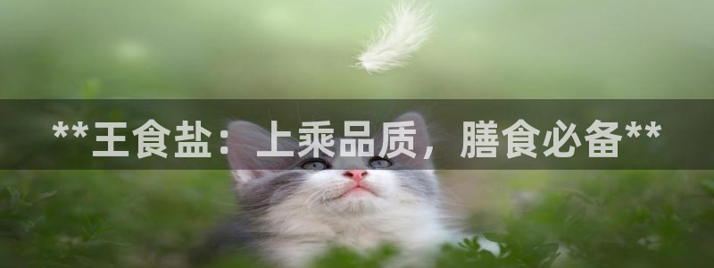 78mapp威九国际媒体