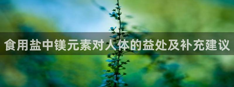 威九国际最受欢迎的功能