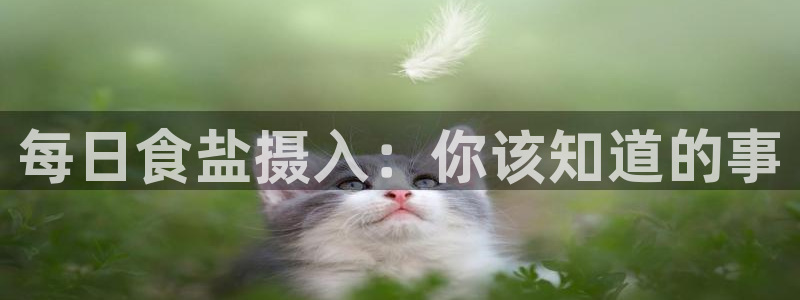 威九国际FT