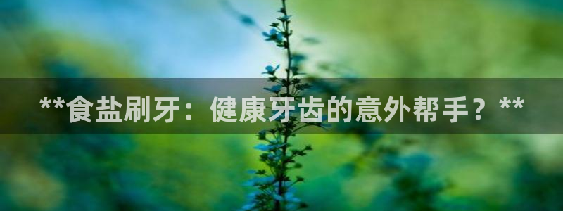 威九国际女主角