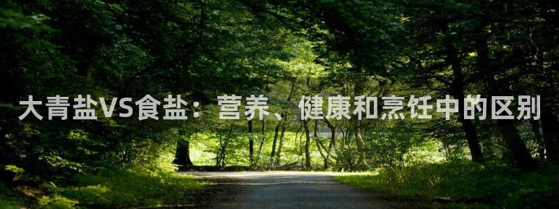 威九国际X8