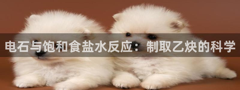威九国际游戏