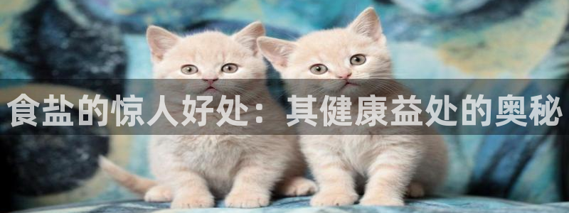 威九国际网站安全吗可靠吗