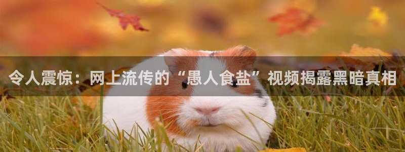 威九国际Sxsx