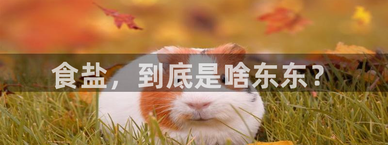威九国际父亲的友人