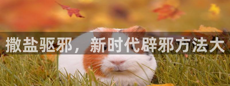 威九国际成长模式怎么样