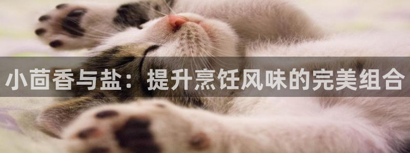 威九国际摩托电影HD