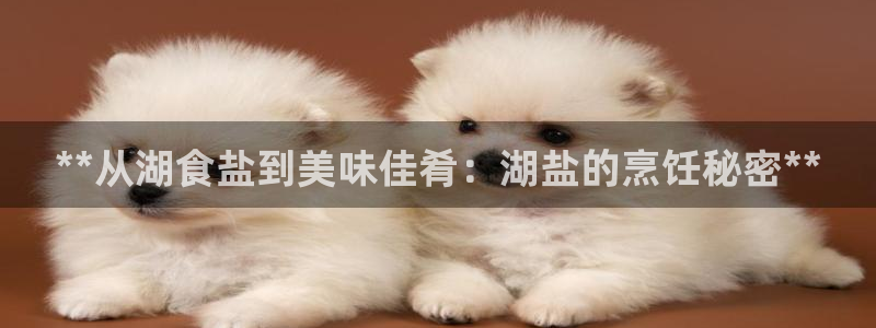 威九国际ppt免费吗