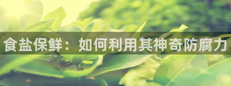 威九国际app客服电话