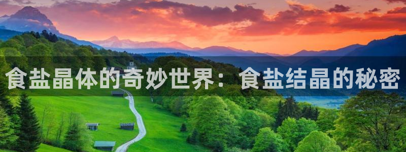 保定威九网络科技有限公司电话