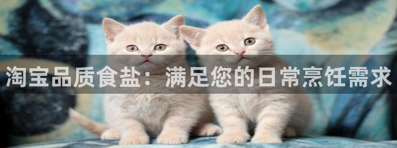 威九国际客服电话号码