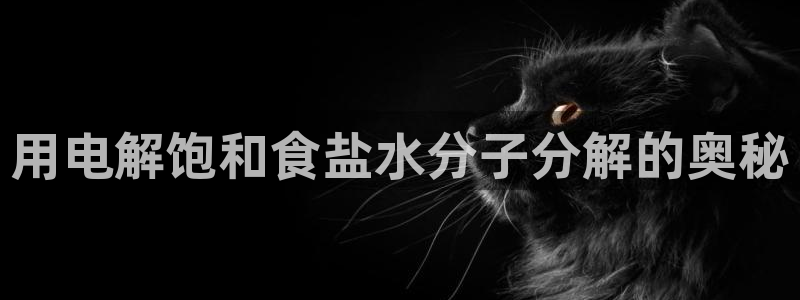 威九国际网站怎么样可靠吗