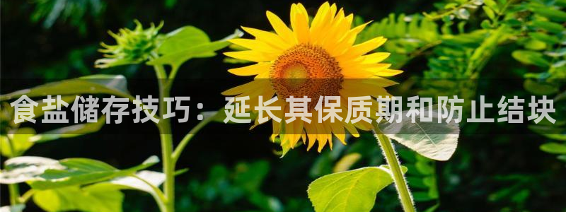 威九国际演员名单