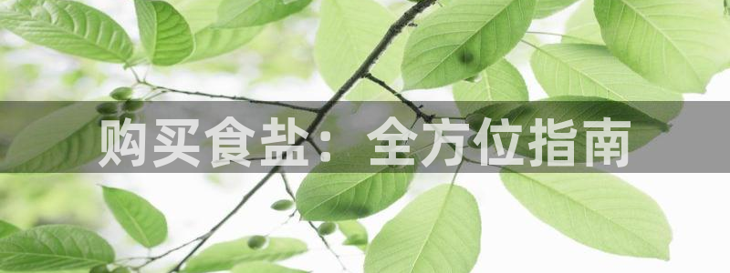 威九国际能提现吗
