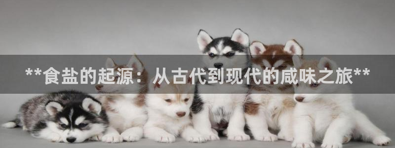 威九国际78mB官网版