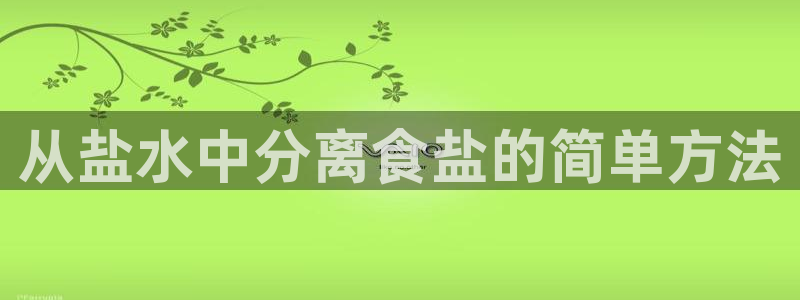 威九国际官网在线进入网站查询网址