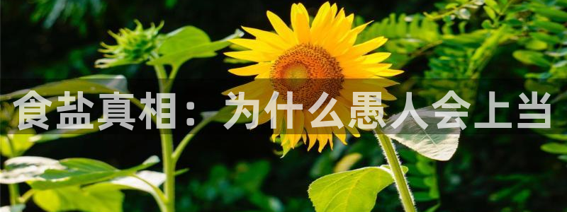 威九国际空降视频