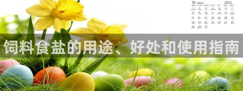 威九国际游戏