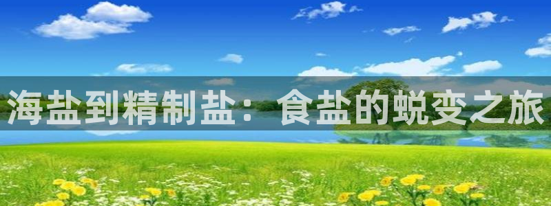 威九国际78m78下载