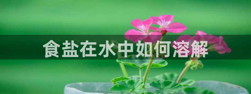 威九国际网站进入AB,AB