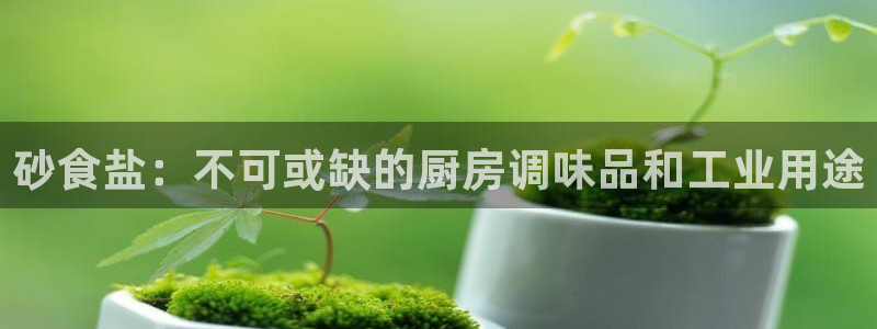 威九国际的金融服务怎么样