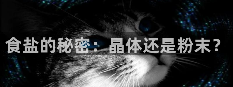 威九国际官网版