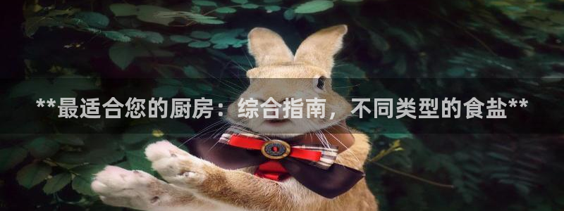 威九国际电视