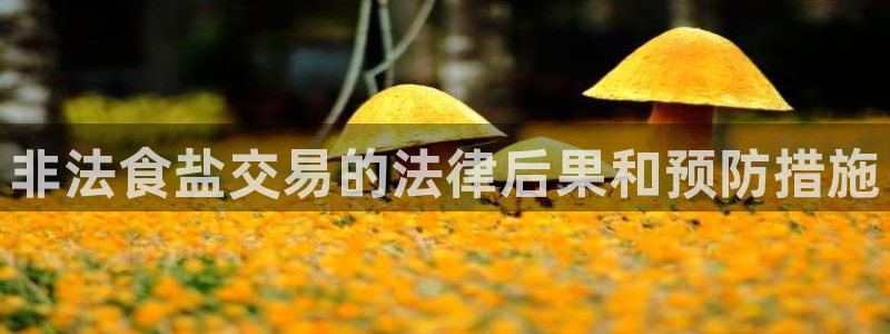 威九国际如何下载