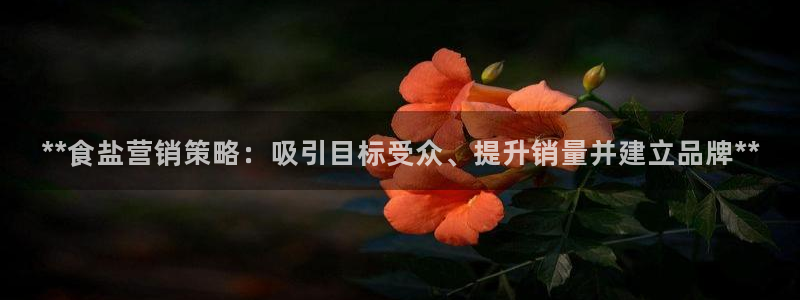 威九国际66m入口