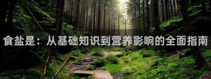 威九国际的女主