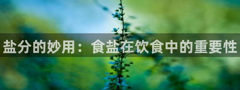 威九国际电影HD