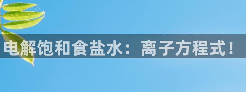 威九国际的金融服务有哪些